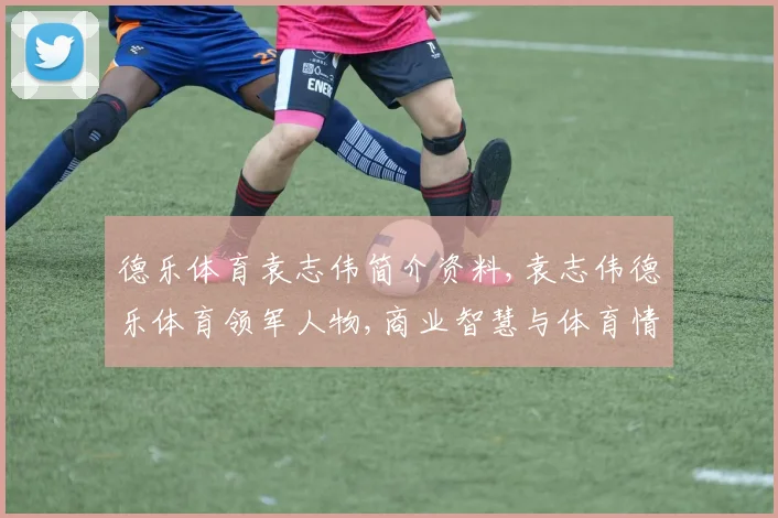 德乐体育袁志伟简介资料,袁志伟德乐体育领军人物,商业智慧与体育情怀交汇
