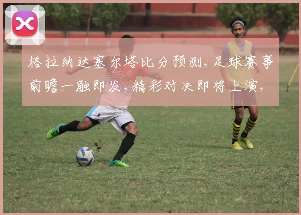 格拉纳达塞尔塔比分预测,足球赛事前瞻一触即发,精彩对决即将上演,拭目以待